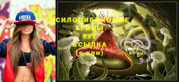 мяу мяу мука Абинск