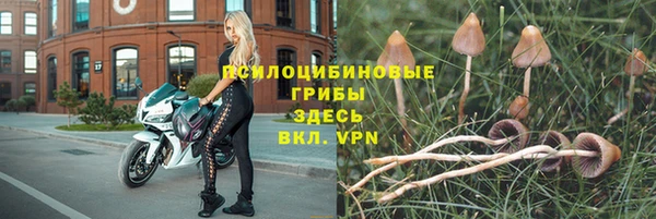 не бодяженный Абаза