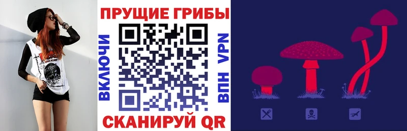 купить   Мостовской  Галлюциногенные грибы прущие грибы 